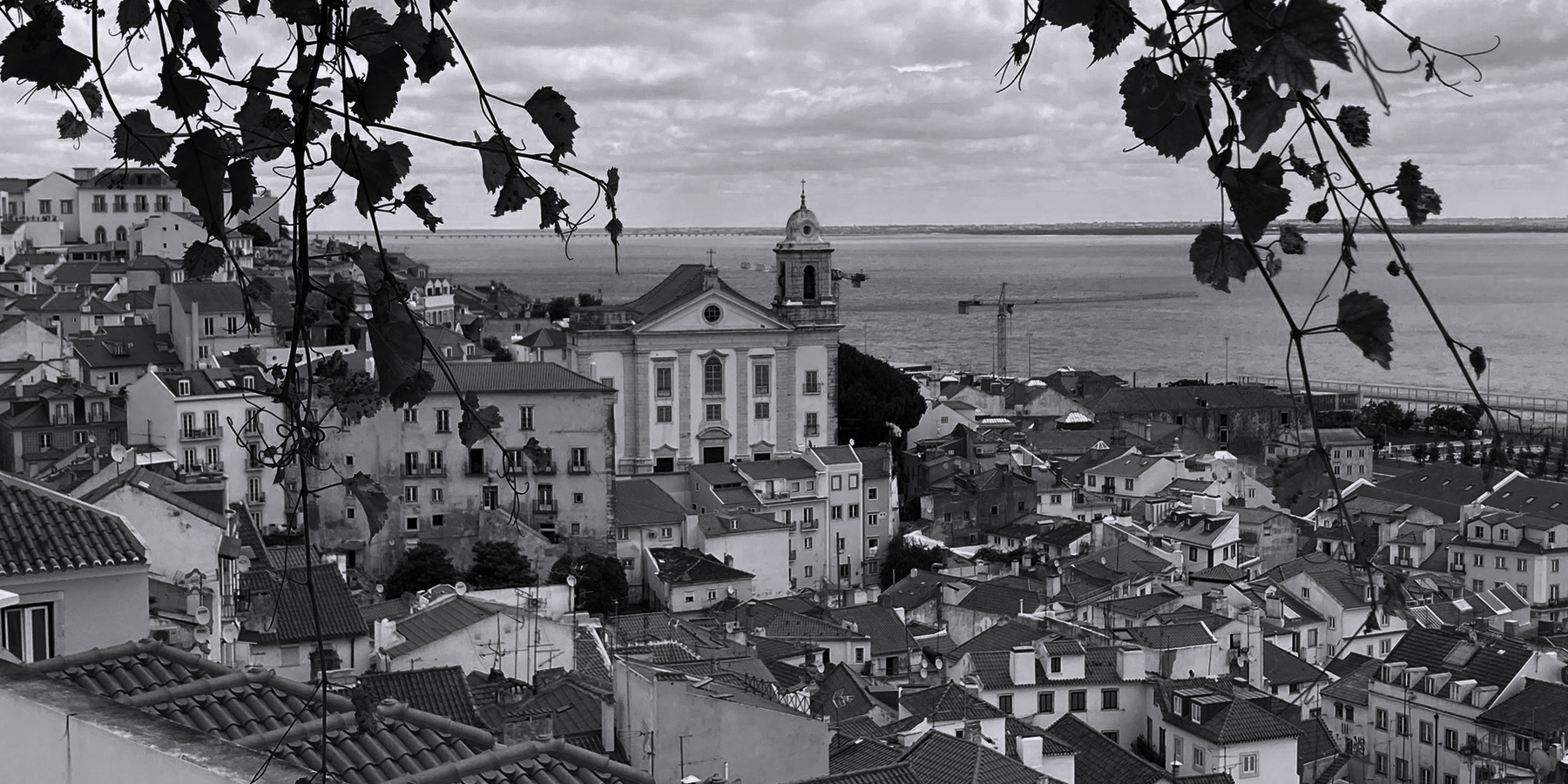 [Describe the photo, e.g. Rooftops of Alfama, Lisbon]